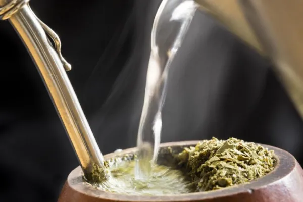 La hierba medicinal que ayuda a la memoria y se puede consumir en el mate