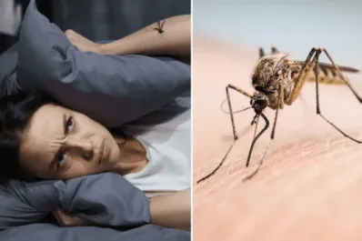 El truco casero más efectivo para ahuyentar mosquitos y dormir tranquilo