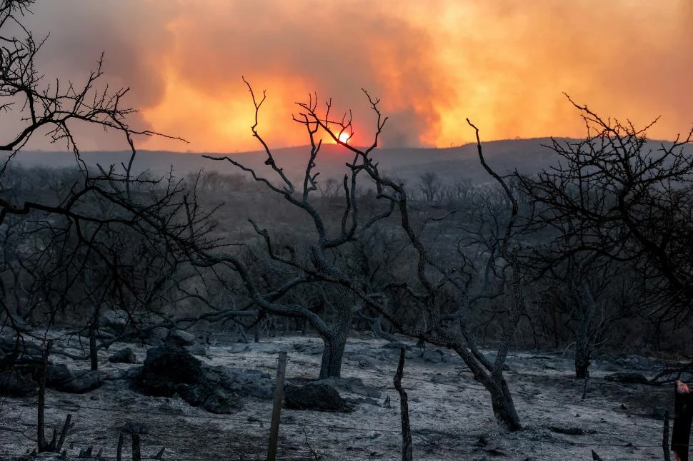 CENIZAS Y CARBÓN. El fuego arrasó una parte del bosque nativo cerca de Dolores, Córdoba.  