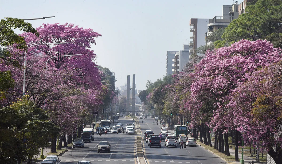 MUCHO SOL. El domingo primaveral tendrá altas temperaturas en casi toda la provincia. 