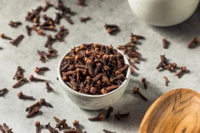 Feng Shui: ¿qué significa el clavo de olor y cómo usarlo para atraer dinero?