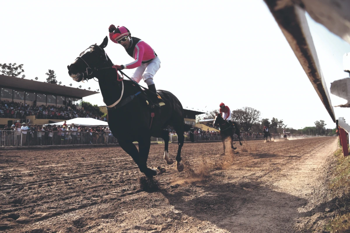 El domingo competirán milleros de gran nivel en el hipódromo tucumano