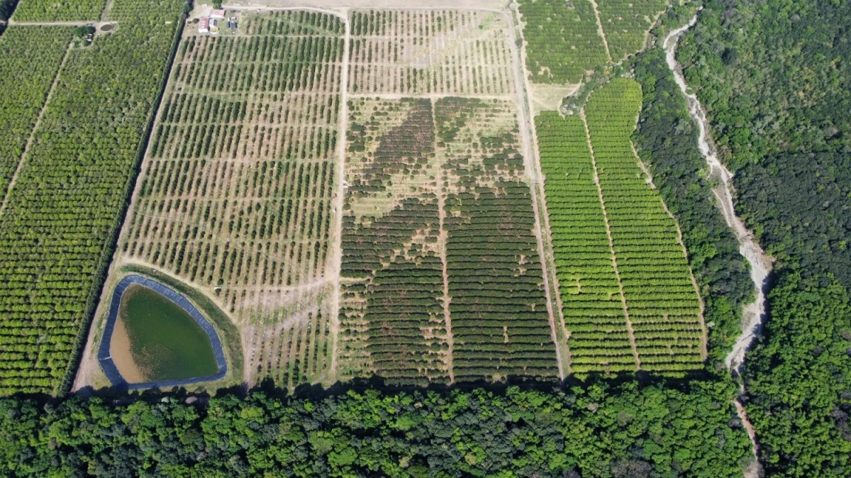 YERBA BUENA. Una imagen aérea de la laguna artificial para riego. FOTO GENTILEZA DE PABLO SALCEDO