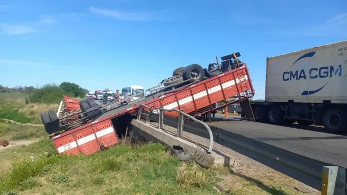 Un camión con vacas volcó en la ruta 9 y los vecinos aprovecharon para faenarlas