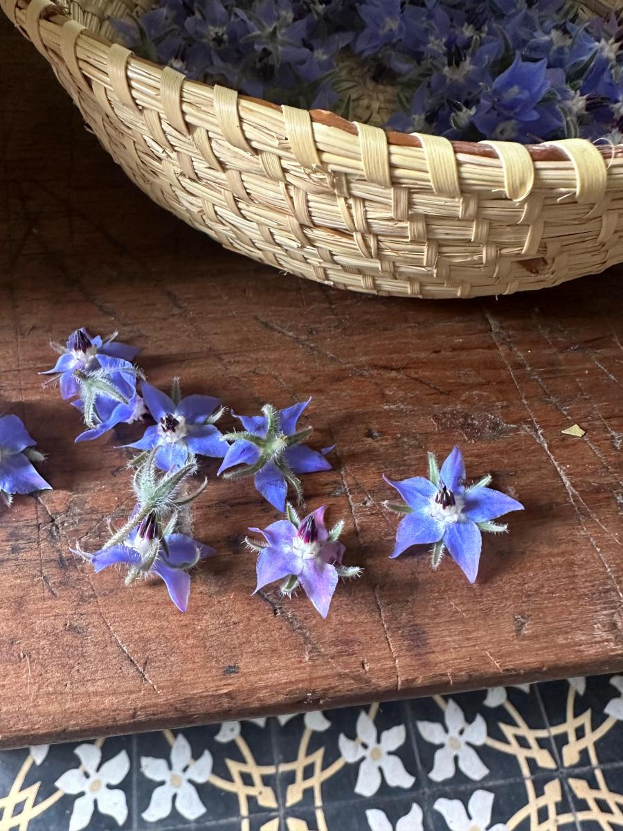 Tener un jardín de flores comestibles es posible