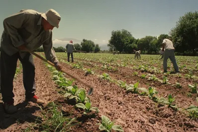 Efemérides del 8 de octubre: Día del Trabajador Rural y otros hechos importantes