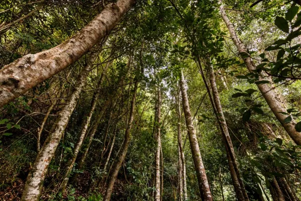 Ocho de cada 10 argentinos considera urgente abordar la crisis climática, según un estudio