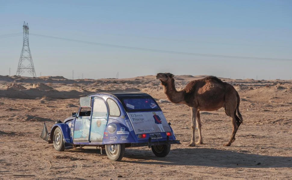 PRINCIPITO. Uno de los Citröen en la travesía de 2022 y un camello.