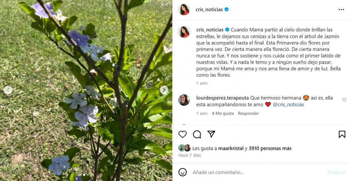 El posteo de Cristina Pérez en Instagram.