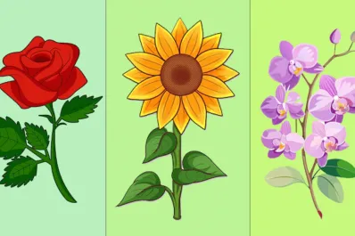 Test de personalidad: elegí una flor y descubrí la cualidad que te ayudará a cumplir tus deseos