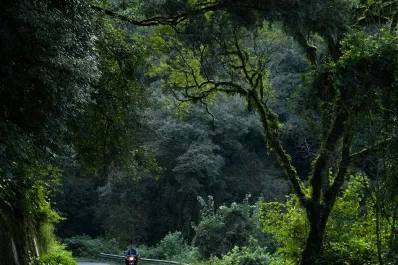 Tucumán abre una convocatoria para recibir opiniones sobre la postulación de las Yungas ante la Unesco
