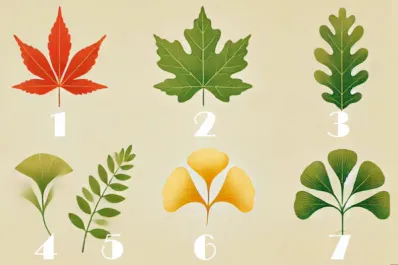 Test viral: la hoja que elijas revelará sorprendentes secretos de tu personalidad