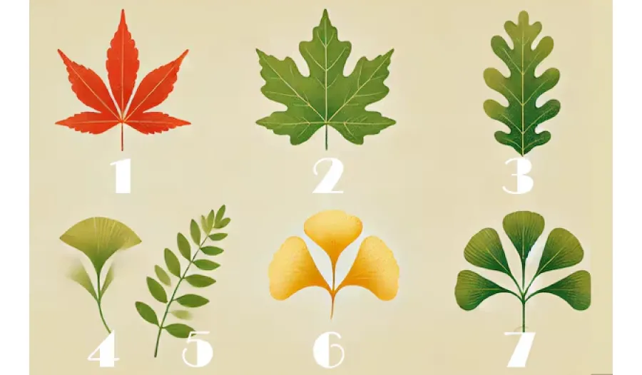 Un test de personalidad que es furor en las redes sociales.