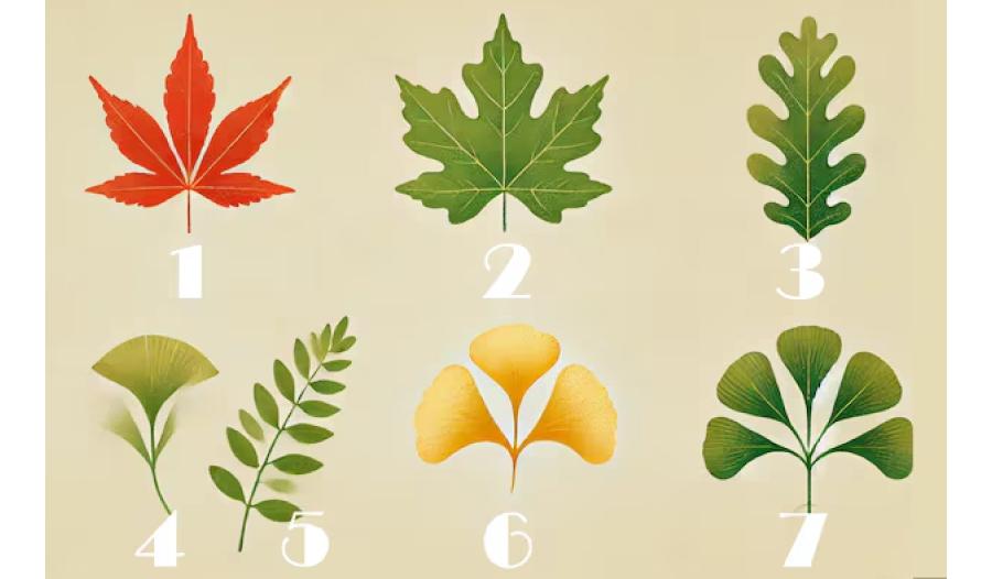 Un test de personalidad que es furor en las redes sociales.