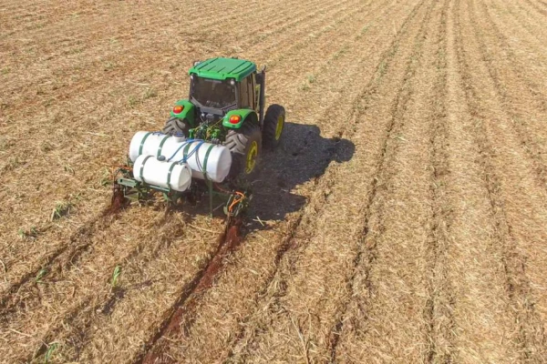 Caña: destacan los beneficios de usar biofertilizantes y bioestimulantes