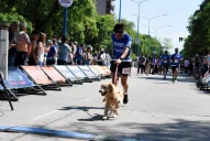 21K de LA GACETA: Un participante completó el tramo final de la carrera junto a su perro