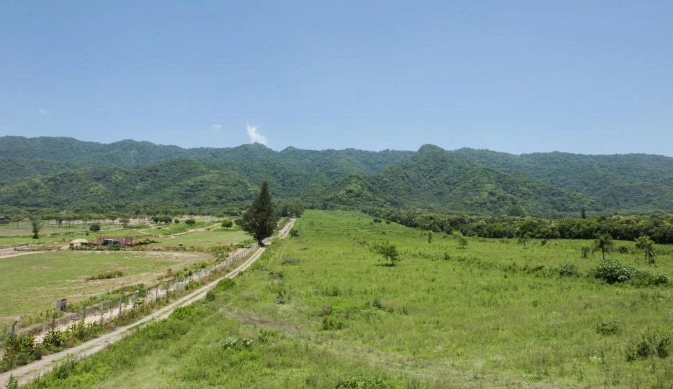 EL PIEDEMONTE. Zona esencial para el equilibrio ambiental en el Gran San Miguel.