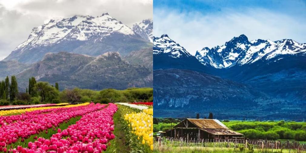 El Campo de Tulipanes, uno de los atractivos de Trevelin.