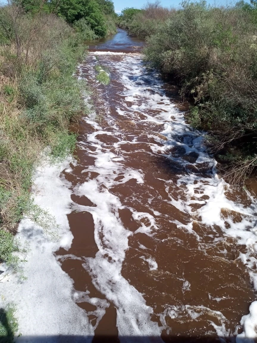 UNA PRUEBA. Una imagen del agua que llevaba el canal de riego.