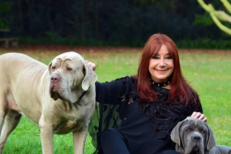 Horóscopo chino: octubre es el mes de Perro en el zodíaco oriental