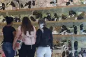 Día de la Madre: un regalo para mamá sale $ 61.587 en promedio