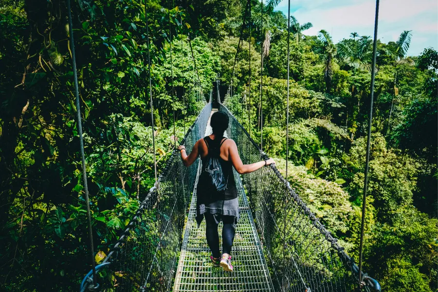 COSTA RICA. Una foto en la zona selvática del país con costa sobre el Caribe y el Pacífico. / UNSPLASH