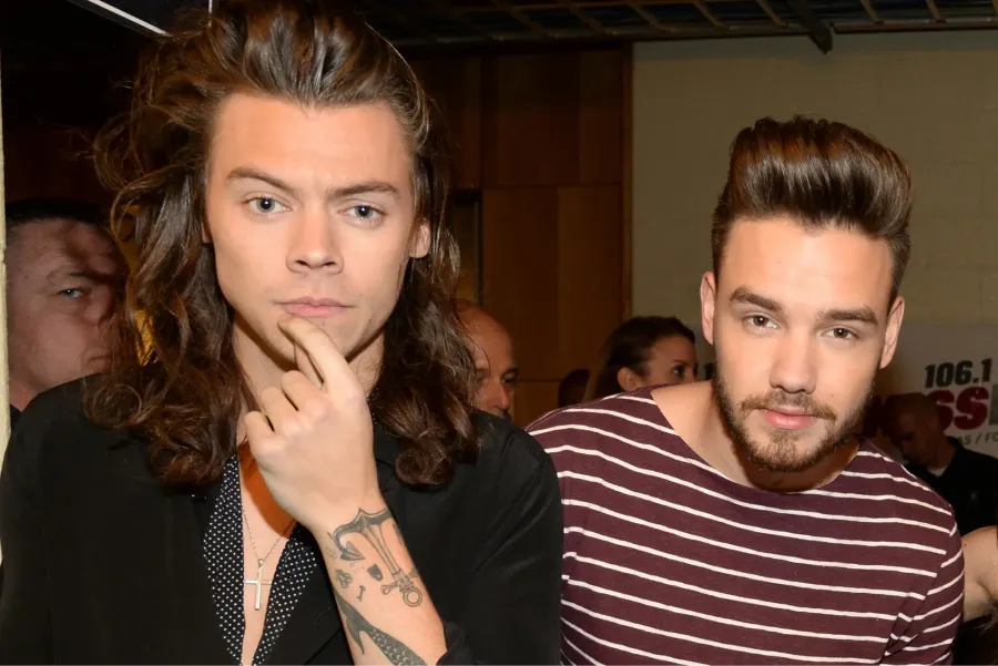 Harry Styles y Liam Payne integraron One Direction