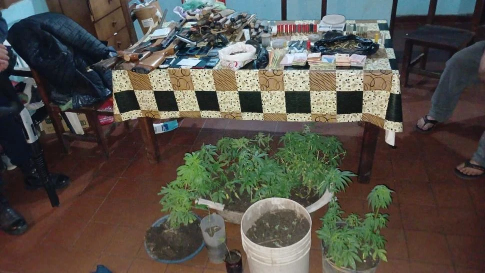 Desarticulan una banda que vendía armas y tenía más de 100 plantas de marihuana