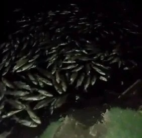 Aseguran que estaba contaminada el agua del canal que llegó al pueblo de El Palomar