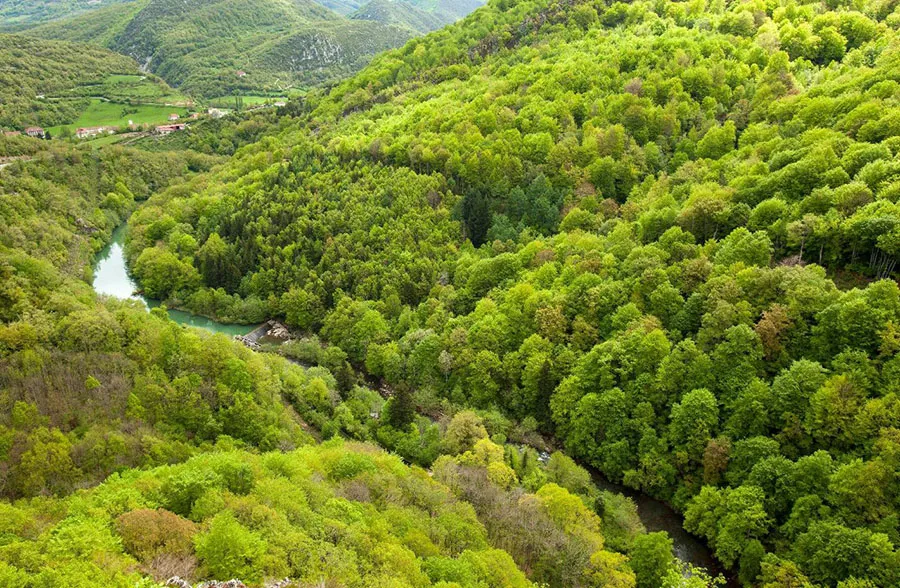 Colombia invita a hacer la “paz con la naturaleza”