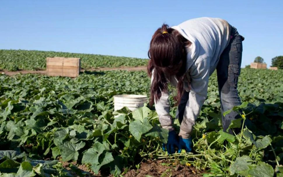 El imprescindible trabajo de la mujer rural