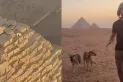 ¿Un dios egipcio? Se viralizaron las imágenes de un perro sobre una de las pirámides
