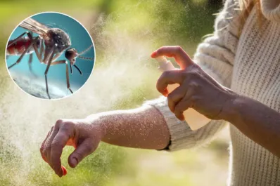 Alerta de la Anmat: prohibieron la venta de un conocido repelente de mosquitos