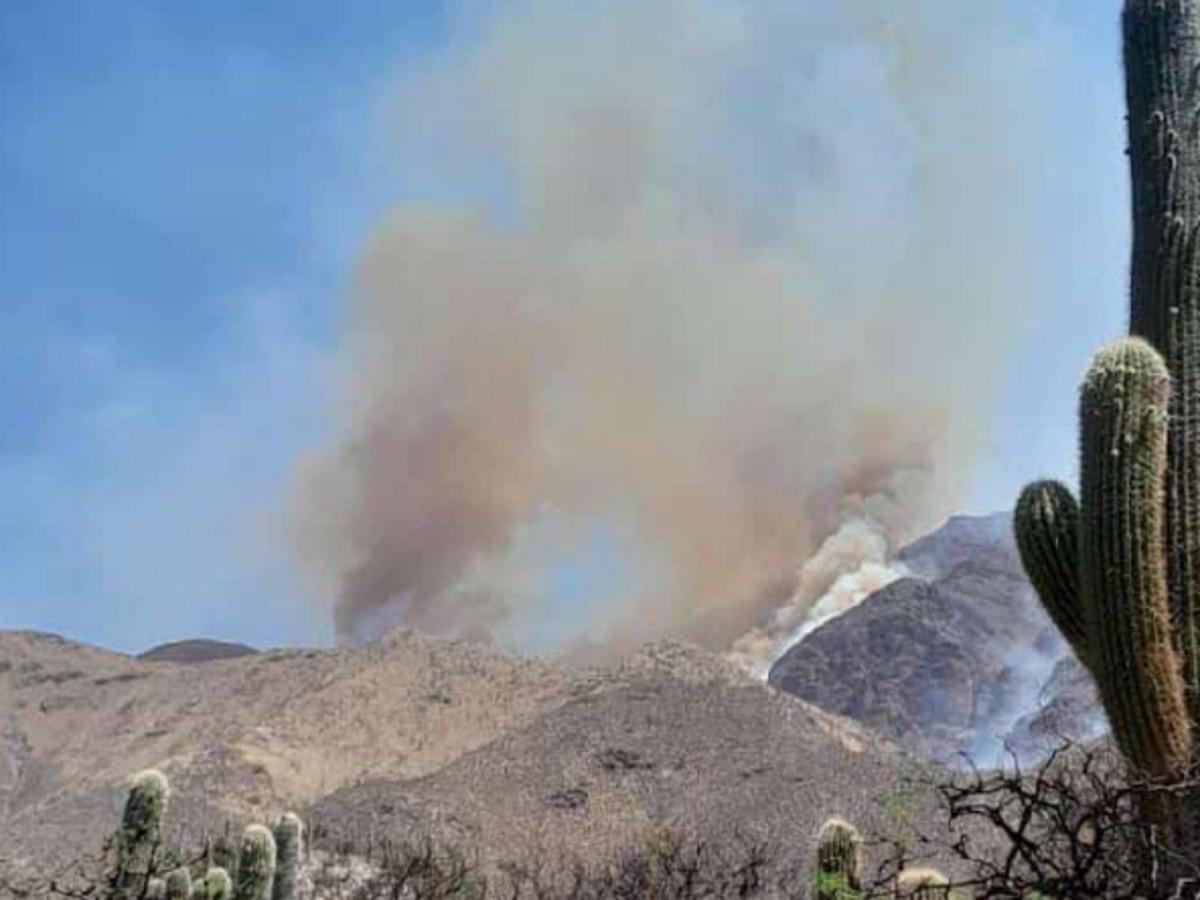 Máxima preocupación: incendio descontrolado en el Cerro Quilmes