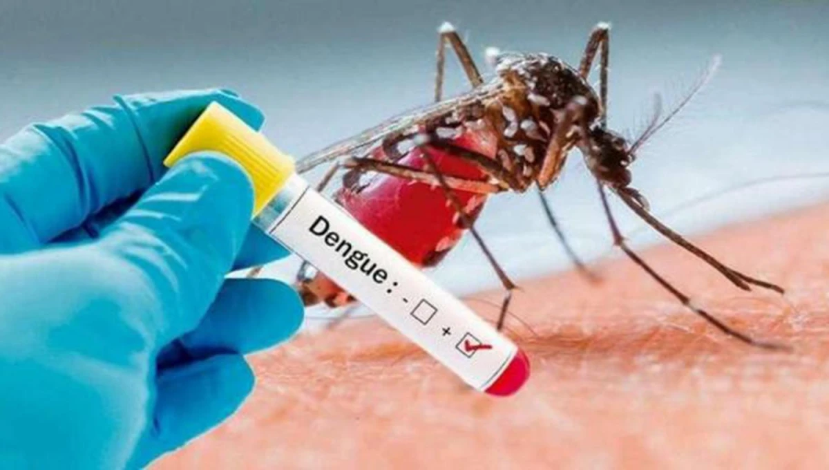 Dengue: detectaron el primer caso de serotipo 4 en el país