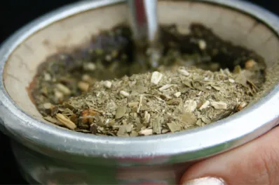 ¿Cuál es la hierba que endulza el mate y ayuda a nivelar el azúcar en sangre?