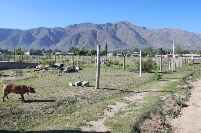 Cómo es la venta de tierras fiscales en El Mollar