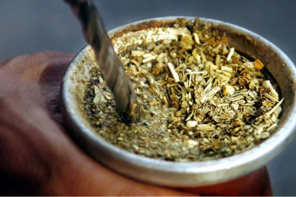 Mate para adelgazar: ¿qué hierbas ayudan a quemar grasa?