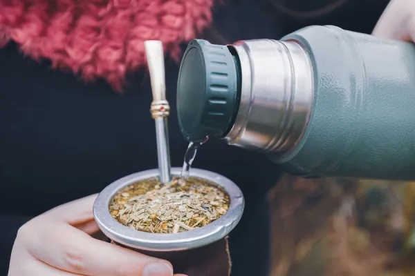 ¿El mate mejora la concentración y la memoria? Qué dice la ciencia