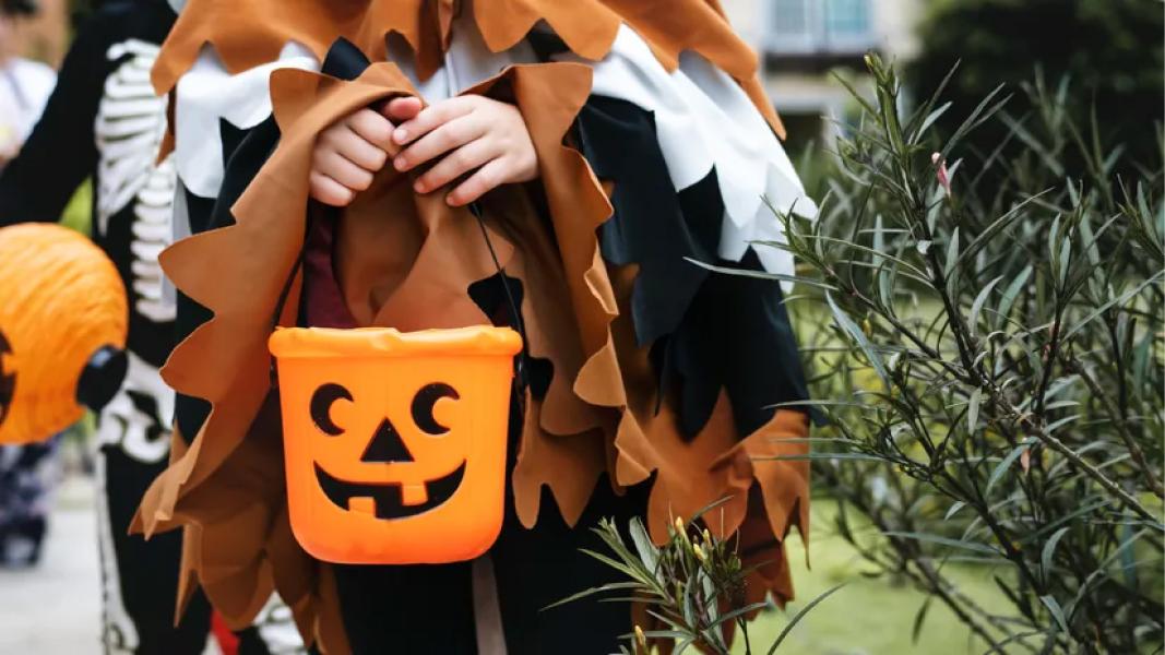 Cinco motivos por los que Halloween se volvió popular en Argentina, según ChatGPT