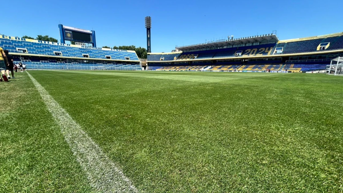 IMPECABLE. El campo de juego luce parejo, sin imperfecciones y con un verde homogéneo.