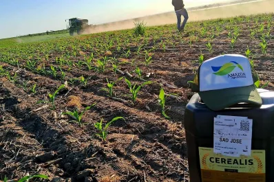 Chicharrita en Tucumán: expertos analizaron estrategias y presentaron Cerealis