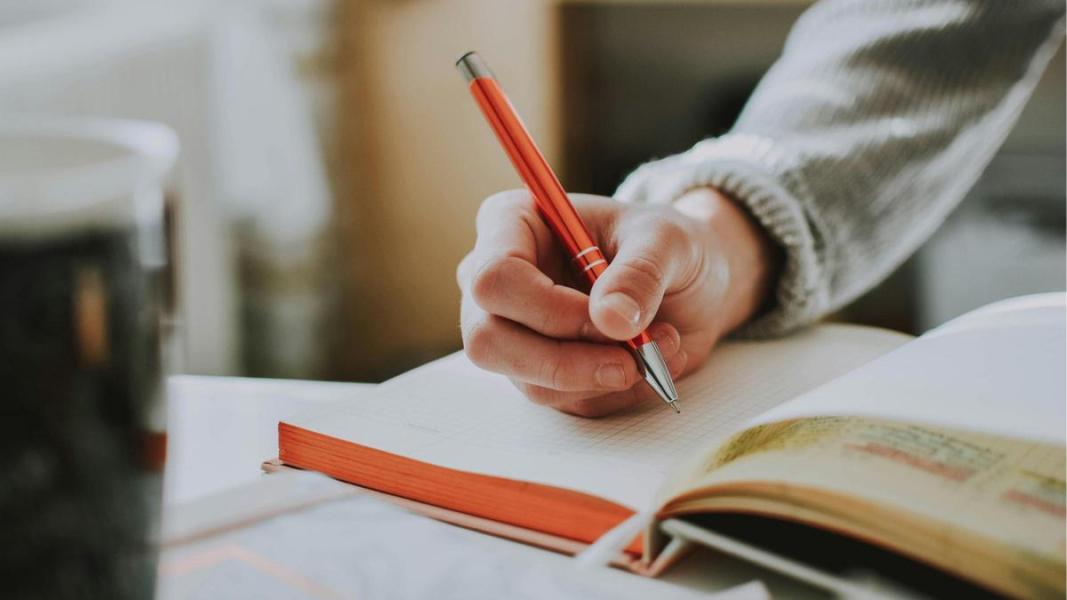 Becas, talleres y concursos: tres oportunidades para estudiantes de sociales y jóvenes