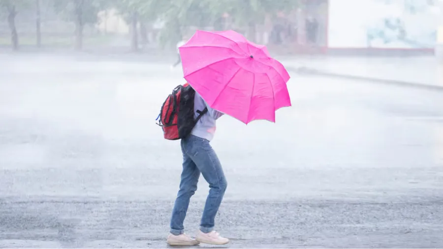 Rige una alerta amarilla por tormentas en Mendoza