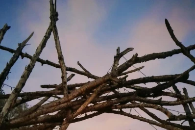 Willkay Glamping: una experiencia auténtica que combina lujo y naturaleza