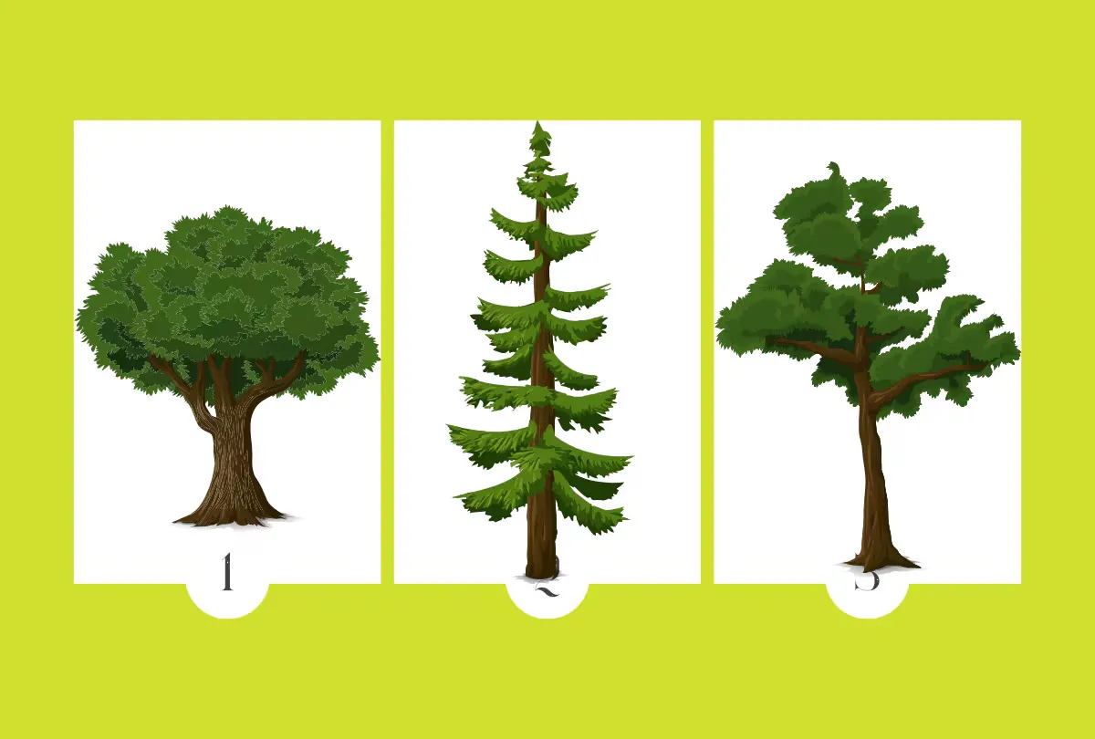 Un test de personalidad que es furor en las redes sociales.