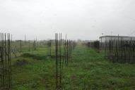 Las empresas rescinden los contratos y se marchan del predio del Procrear II de Tucumán