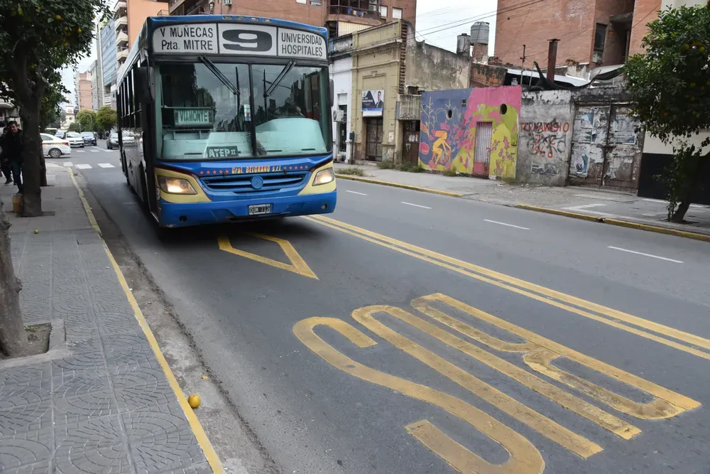 Día de la Soberanía Nacional: así funcionarán los servicios municipales durante el feriado del lunes