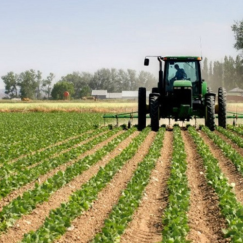 Productores explicaron cómo se comete el delito de usurpaciones en el NOA