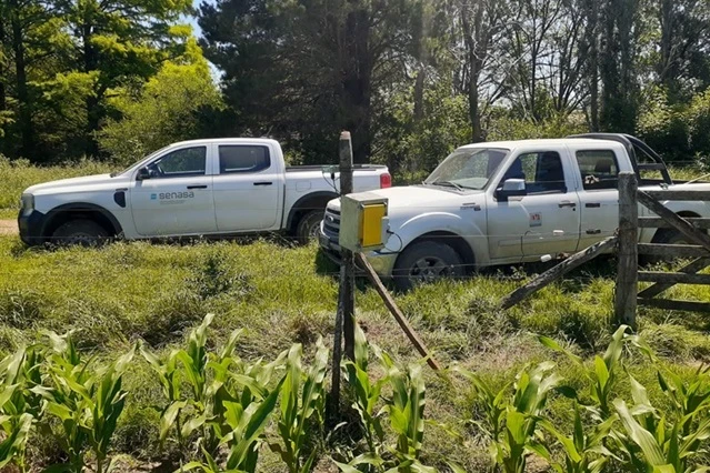 PRUEBAS. Las trampas permiten el monitoreo remoto de la “chicharrita”.